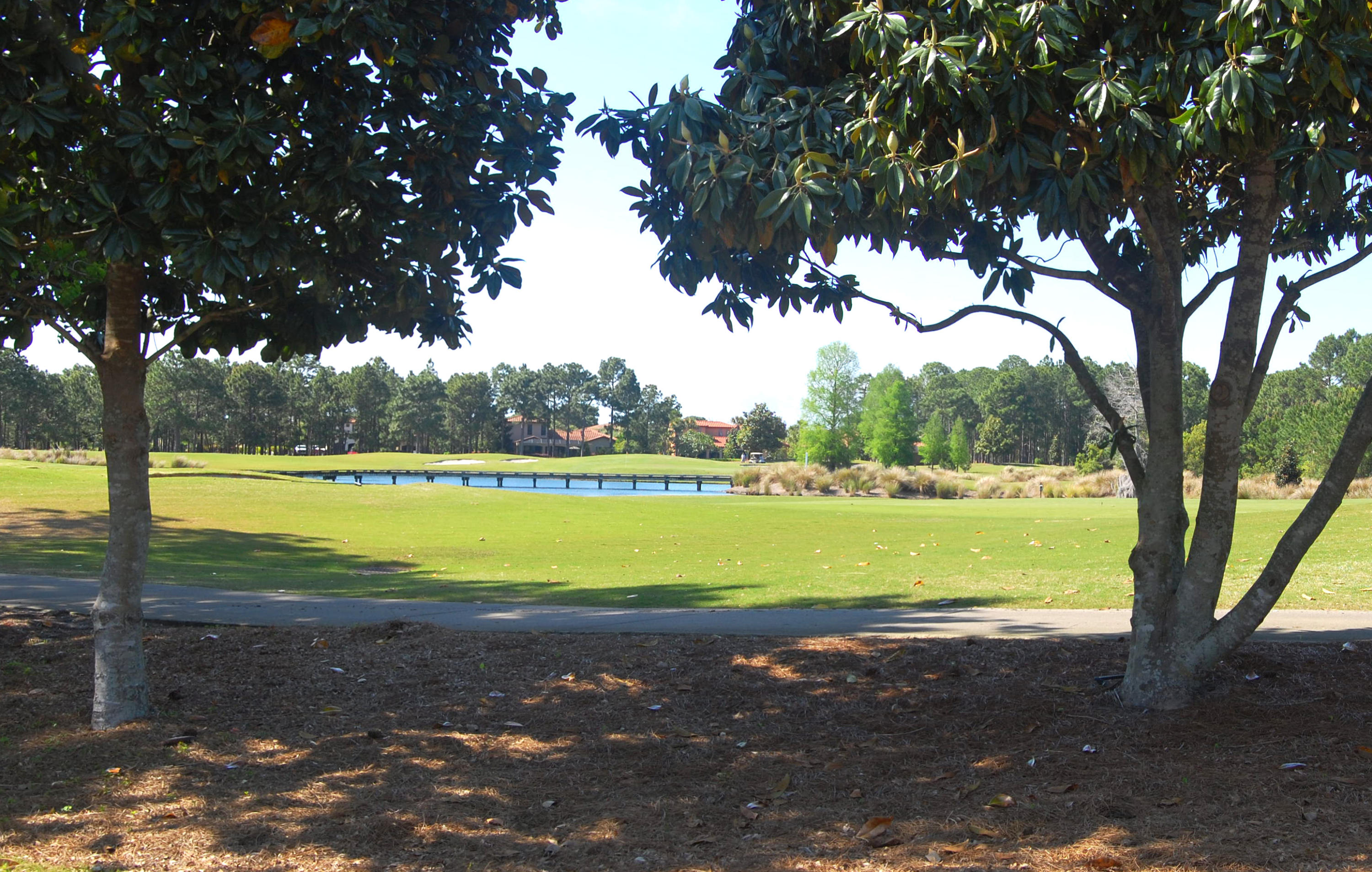 LAUREL GROVE - Residential