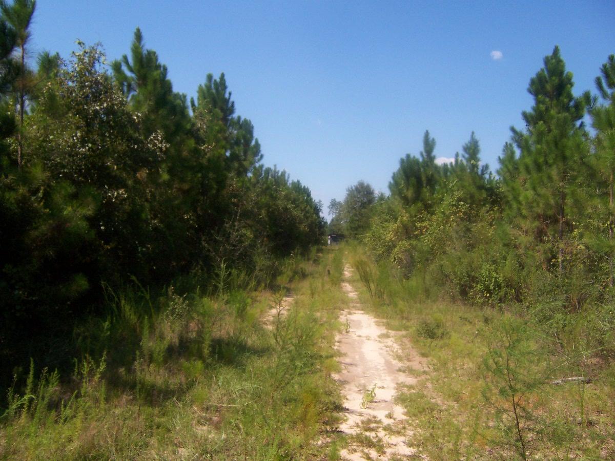 Meetes and bounds - Land