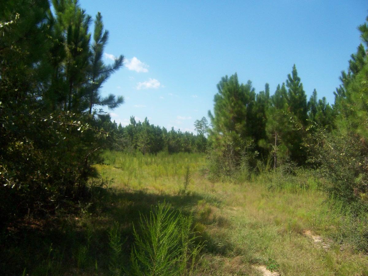 Meetes and bounds - Land