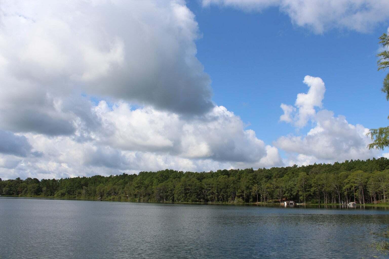 Two adjoining lots on Blue Pond one of Northwest Florida's natural spring fed lakes. Swim, snorkel, scuba dive or fish! Blue Pond is famous for its dinner plate size bream. Quiet & peaceful. Covenants & restrictions in place to protect your investment. Seller firm on price.