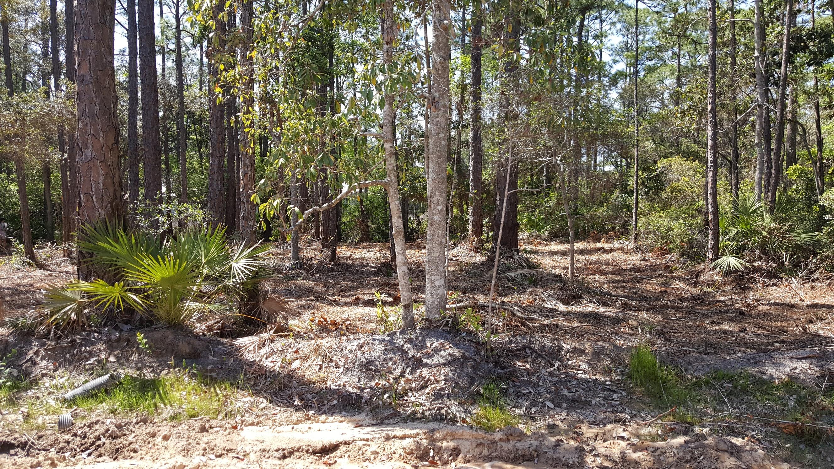 Mack Bayou Park - Land