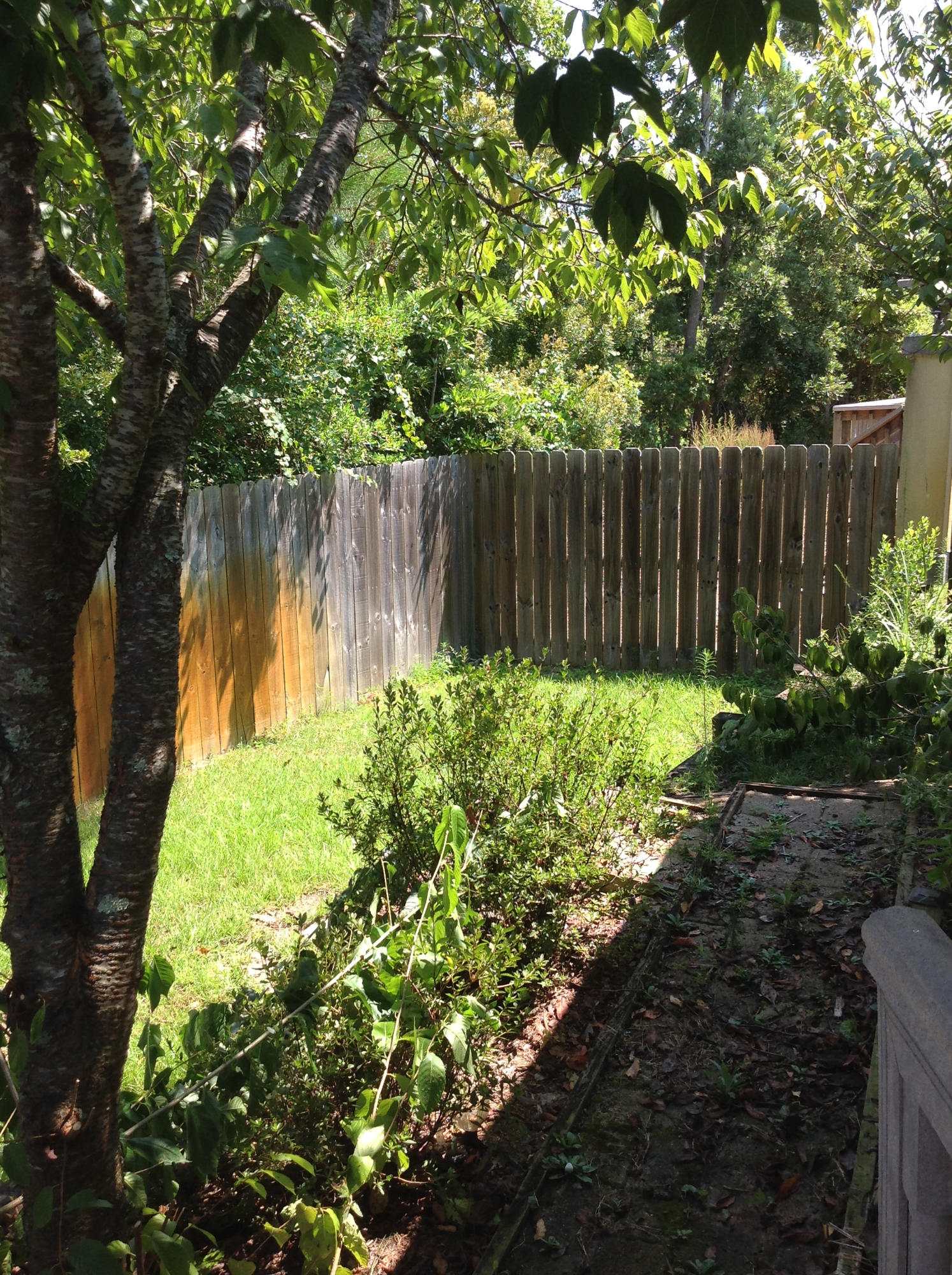 COBIA BAY - Residential Lease
