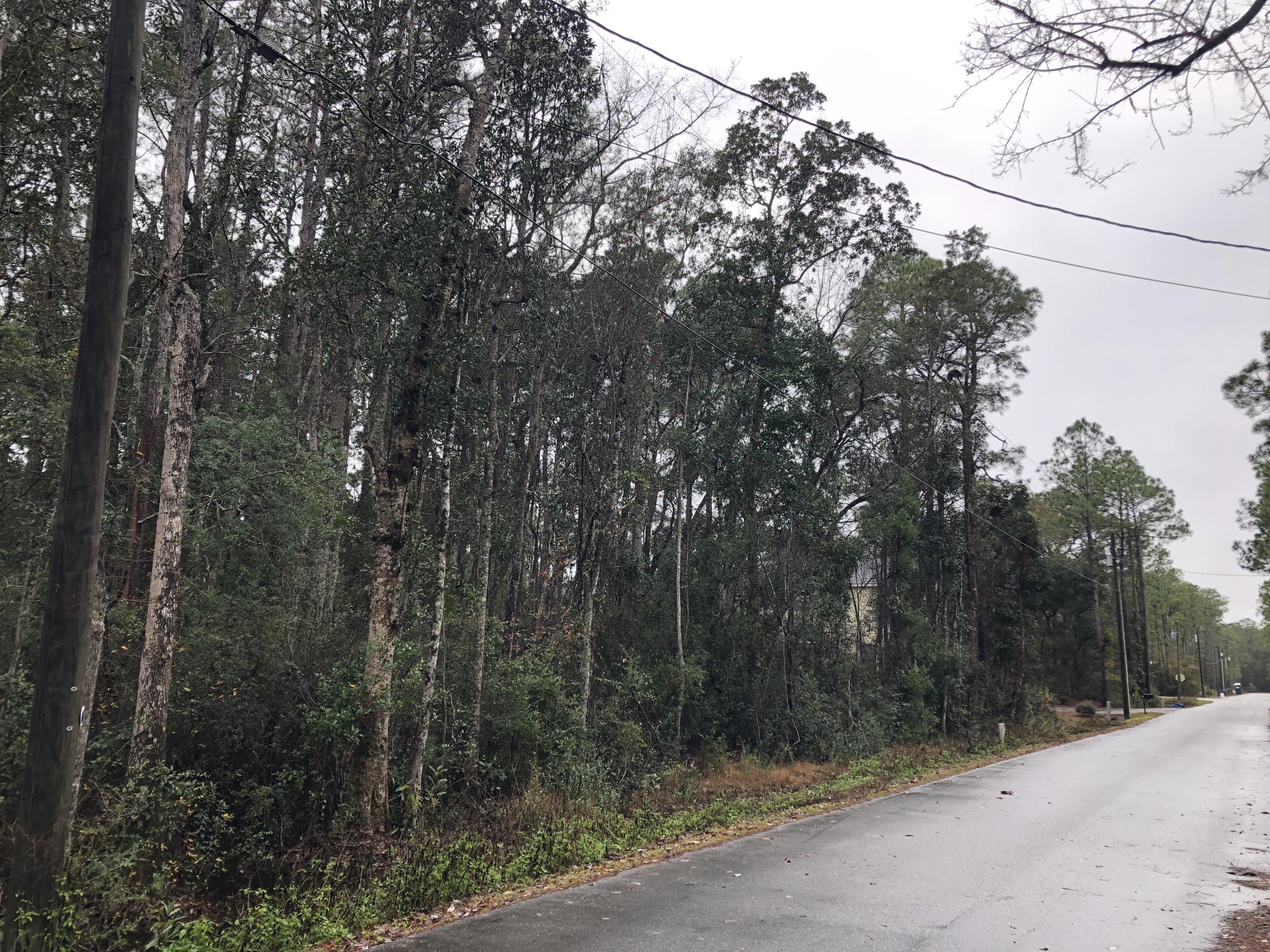 Great Double Lot in Magnolia Beach Subdivision, close to the Bay. Large, 100x150, wooded lot just 0.3 miles to Bay access at the end of Cabbage Rose Lane, and a 10 minute drive to Grayton Beach. Enjoy all that South Walton has to offer from this quiet, centrally located neighborhood. No mobile home are allowed, but also no HOA Dues, and no build-out time deadlines.
Jurisdictional wetlands are present on the site. A homesite could be filled with proper permitting from the appropriate regulatory agencies.
