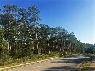 SWEET BAY (AKA Lakeside at Inlet Beach) - Land