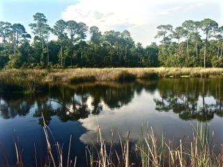 SWEET BAY (AKA Lakeside at Inlet Beach) - Land