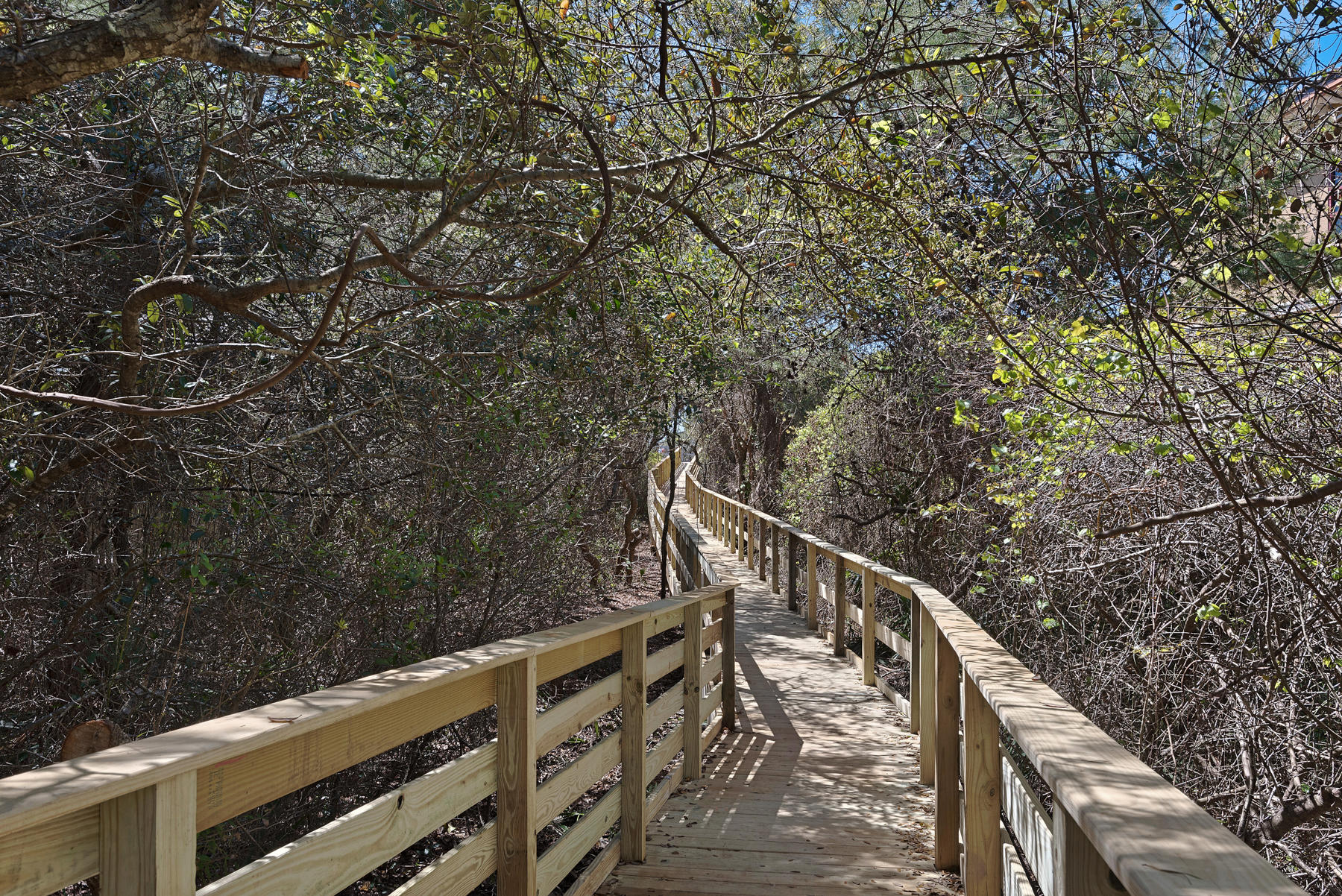 THE PRESERVE AT GRAYTON BEACH - Land
