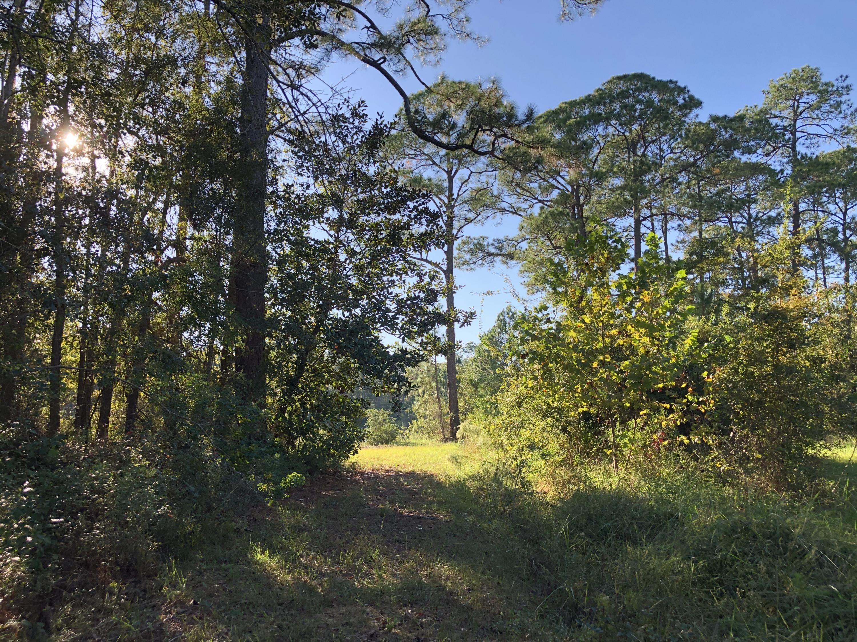 SANTA ROSA PLANTATION - Land