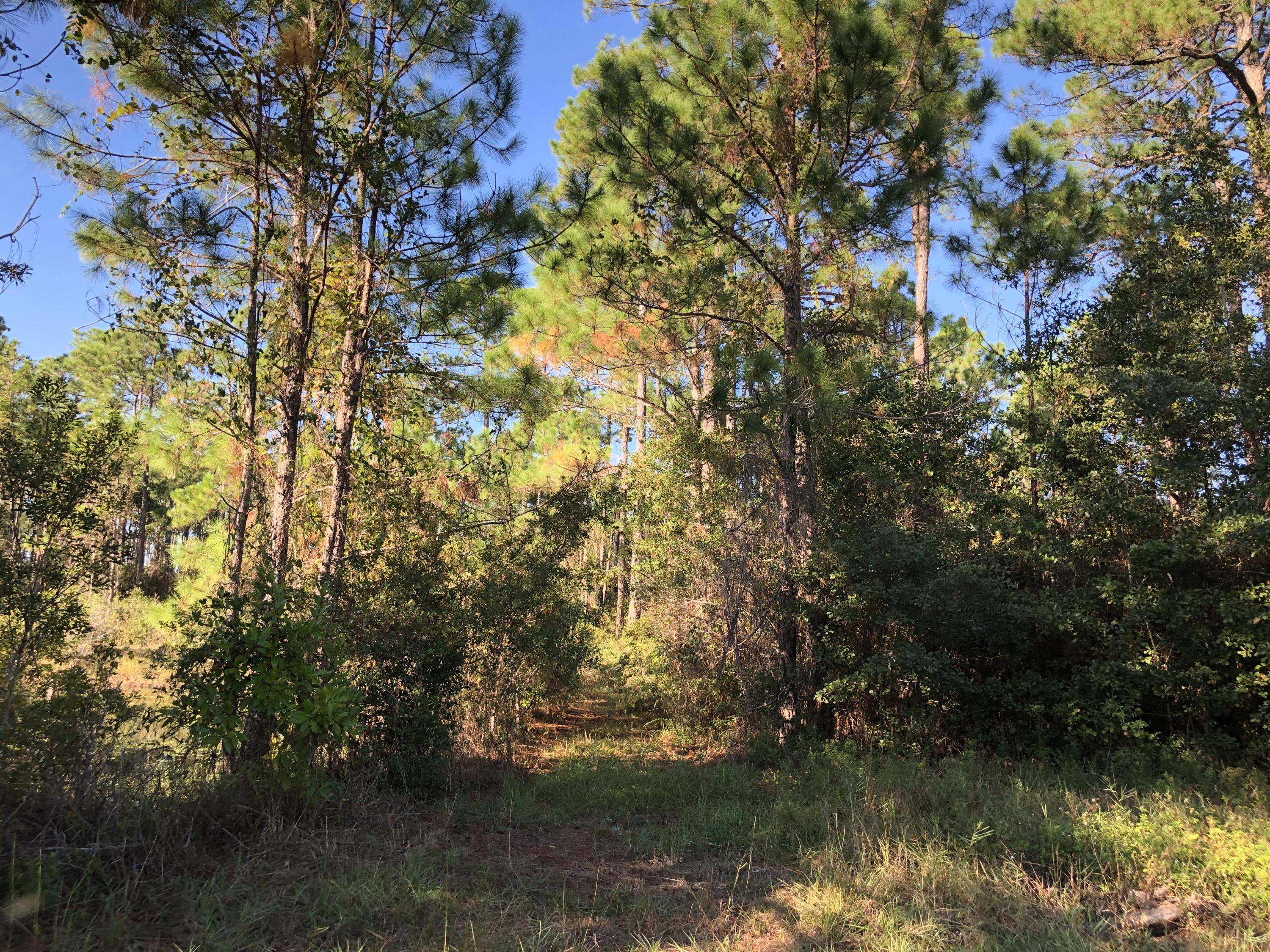 SANTA ROSA PLANTATION - Land