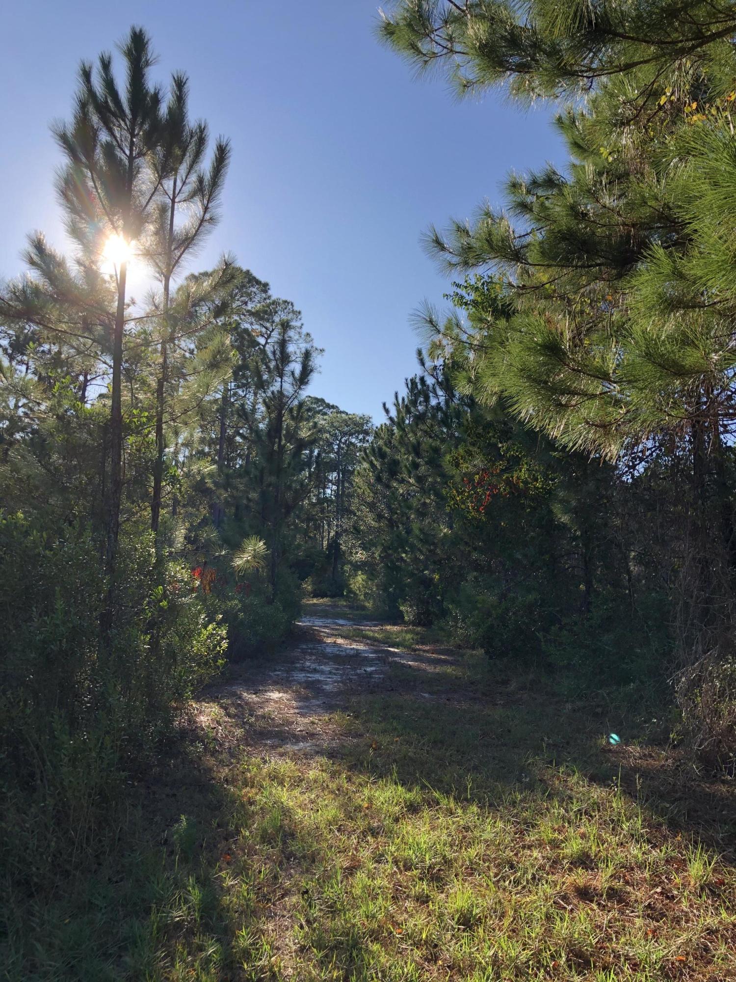 SANTA ROSA PLANTATION - Land