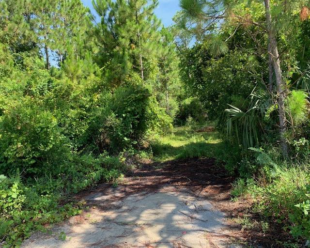 Build a 2 story - 3,000 Sq. Ft. building. The possibilities are endless. Have a BUSINESS on the 1st floor & LIVE UPSTAIRS.  OR WAREHOUSE & OFFICE.  Build a shell building for SPECULATION  and then sell. Building Permit approved for a 1500 sq. ft. footprint. Plus parking.. . See approved site plan.  Wetlands easement on property. SEE DOCUMENTS for complete information on permits, mitigation property, extension of permits, etc.
