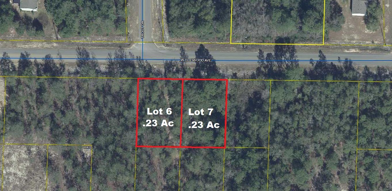2 apx. 1/4 acre adjoining ac lots on W Dogwood Ave. Great location in growing Mossy Head. Mobile/manufactured homes allowed. Public water is available through Mossy Head Water Works (tap fee not paid); Power available on street; Septic would be required.