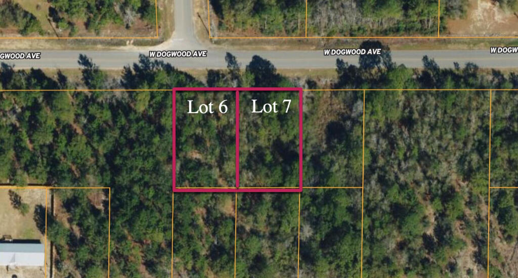 2 adjoining .23 ac lots on W Dogwood Ave. Buy 1 or 2 lots! Each lot can have 1 mobile home. Great location in growing Mossy Head. Mobile/manufactured homes allowed. Public water is available through Mossy Head Water Works (tap fee not paid); Power available on street; Septic would be required. Located off Paved Rd!