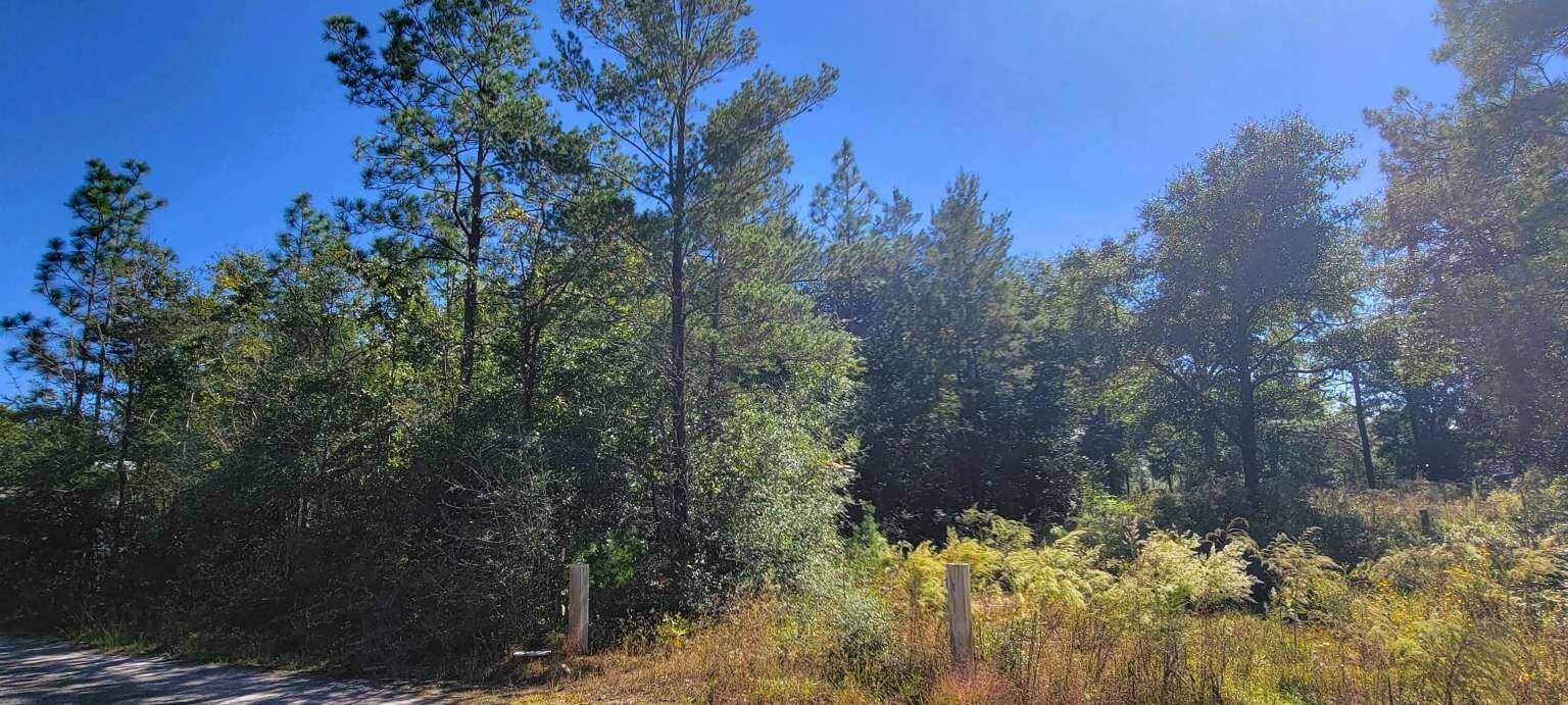 OAKWOOD HILLS - Land