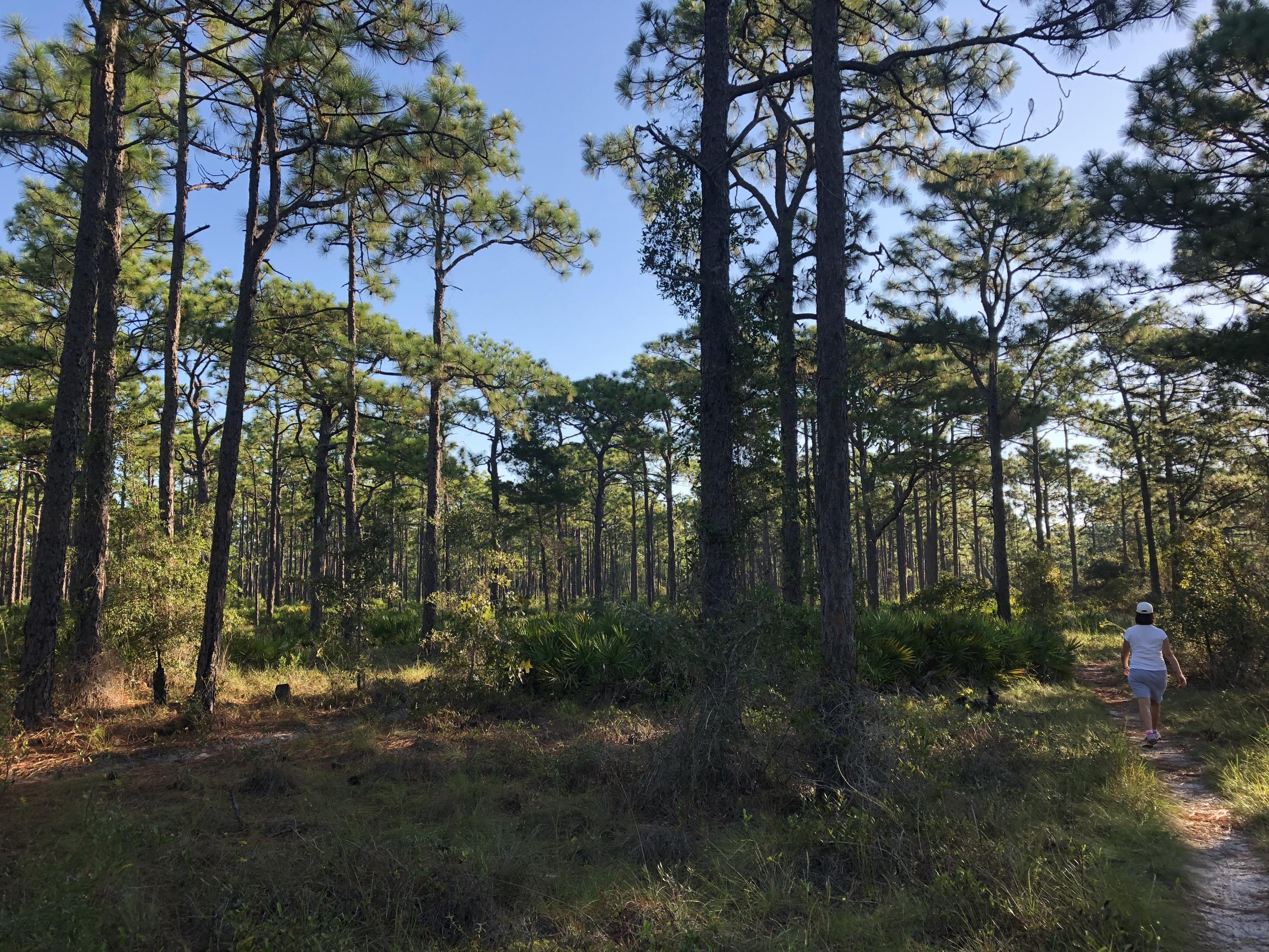 ARC ACRES UNRECD - Land