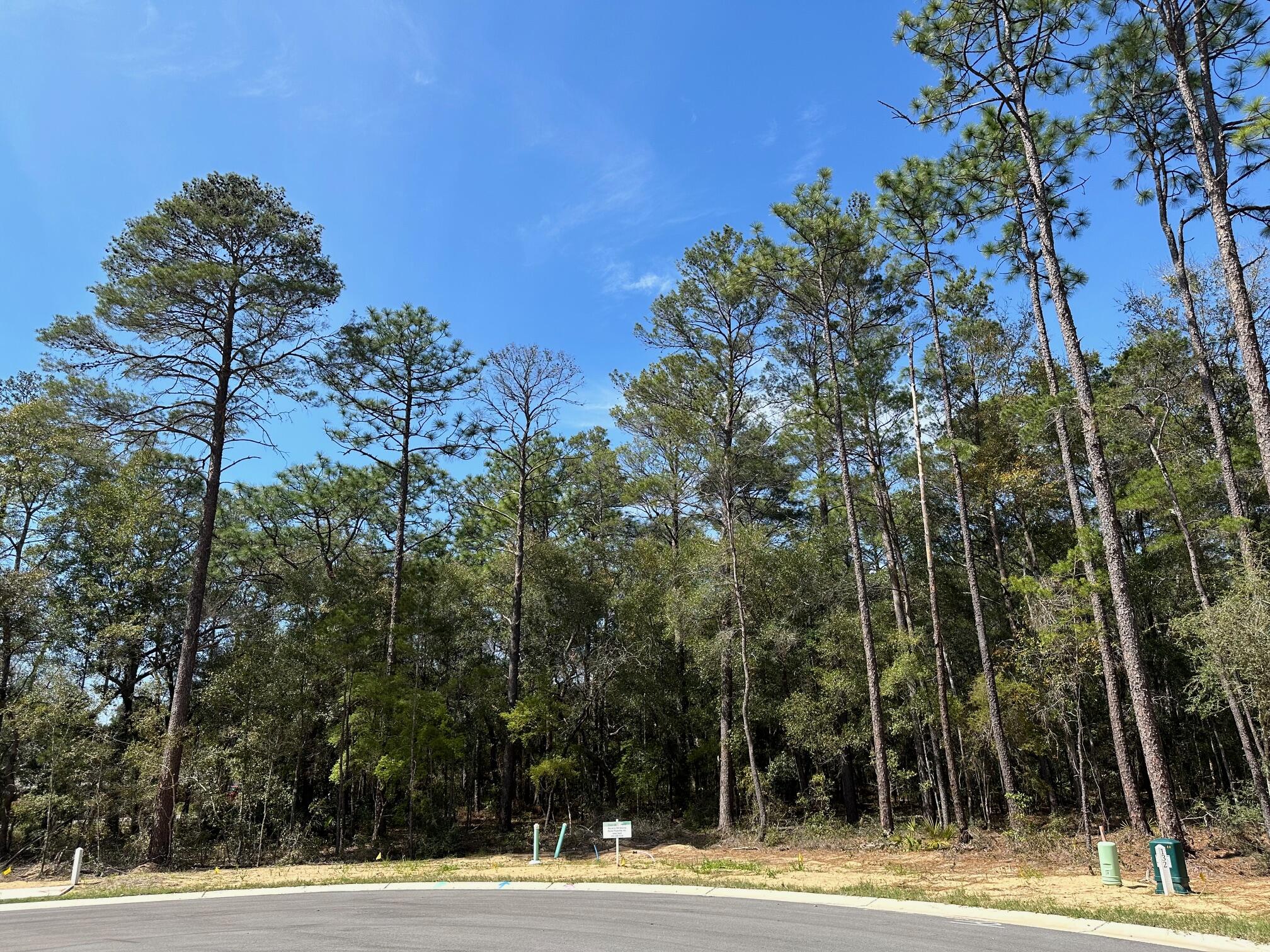 Deer Moss Creek - Land