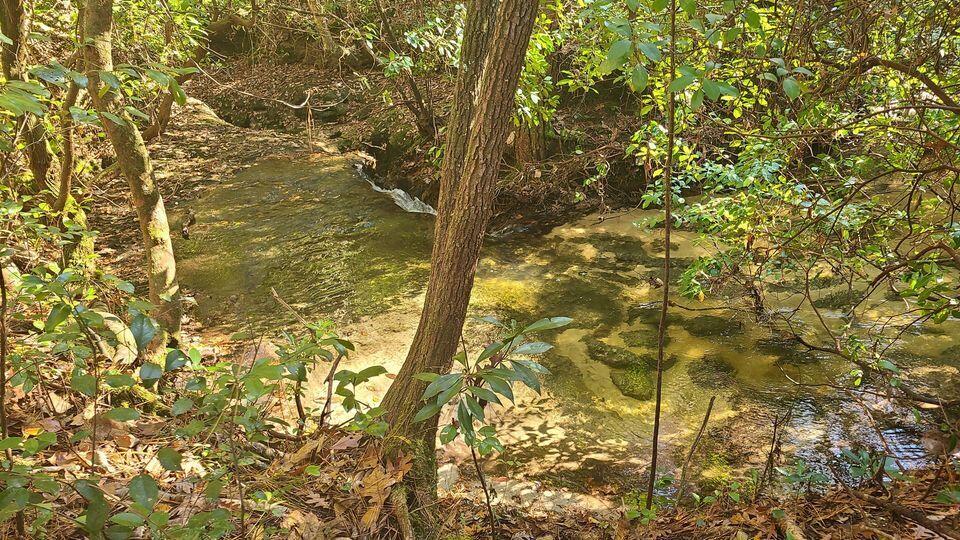 Price Reduced!! Beautiful 34.6 acres with over 1,500 feet along Laird Mill Creek. Attractive owner financing possible for qualified buyers!  Two acres have already been cleared for future home site. (Drawings available) 200 yard shooting lane also cleared.  Power is at the road. Nice hardwoods throughout, along with deer, turkey and other wildlife tracks. Two underground springs are toward the eastern end.  Attractive owner financing possible for qualified buyers!  This land is waiting to be your new homestead or weekend getaway . . . . Don't let it get away!