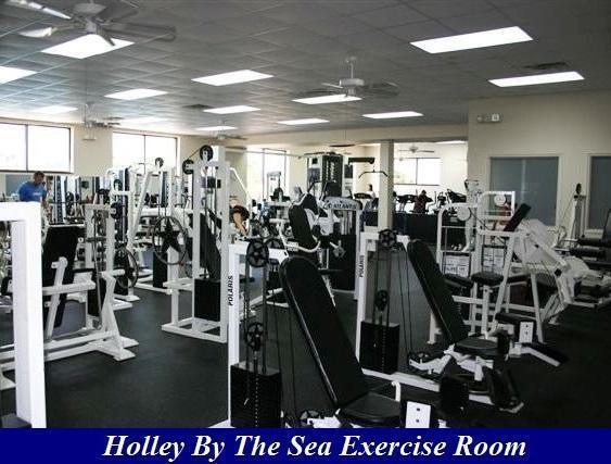 HOLLEY BY THE SEA - Land