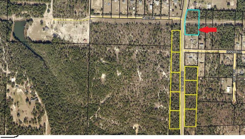 Bring your house plans! This 1+ acre level lot won't last long.  Lot is located in the county and utilities are at the road. Short drive to Crestview. Conveniently located between Hwy 85 and Hwy 285.