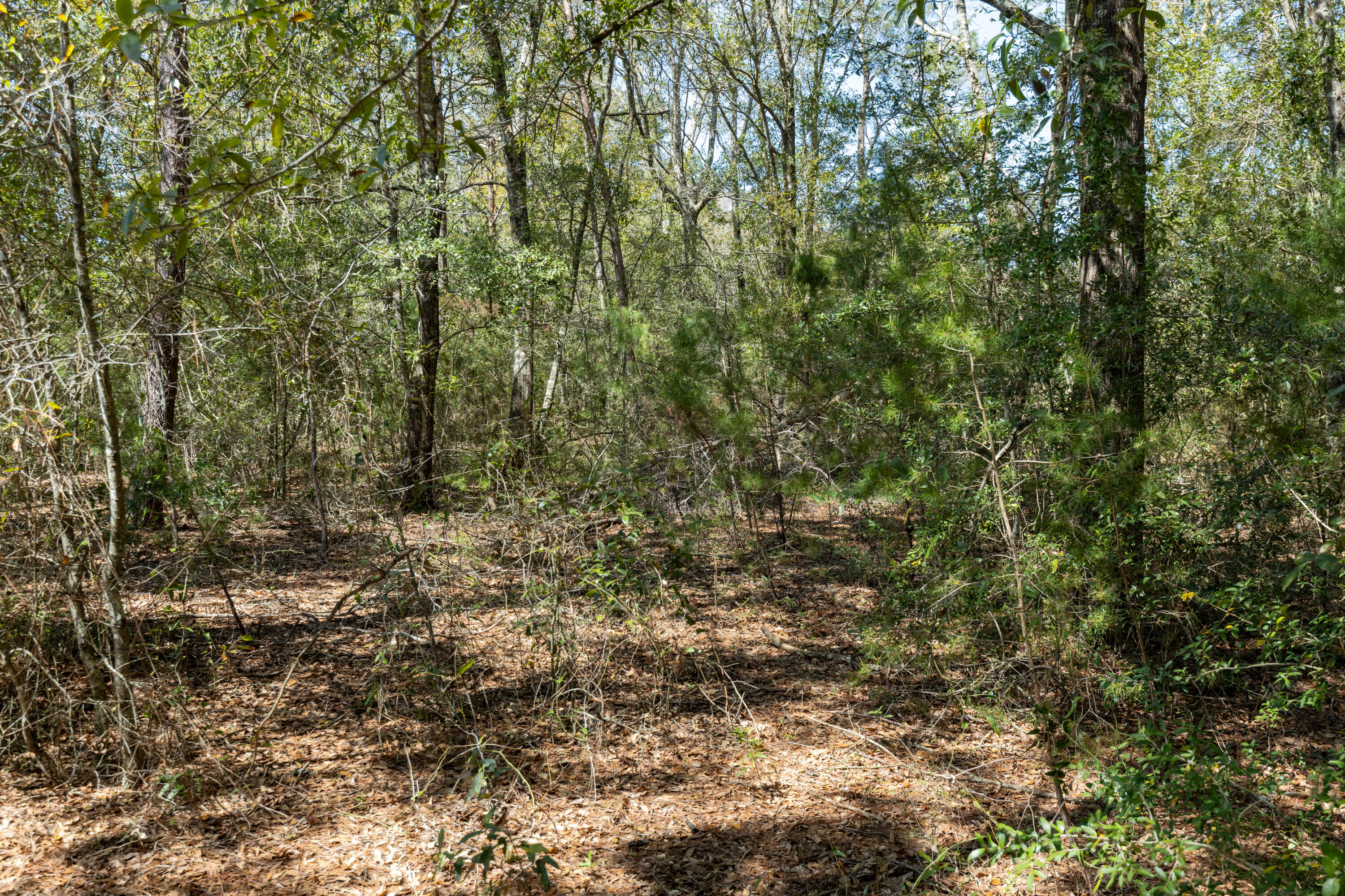 NO RECORDED SUBDIVISION - Land