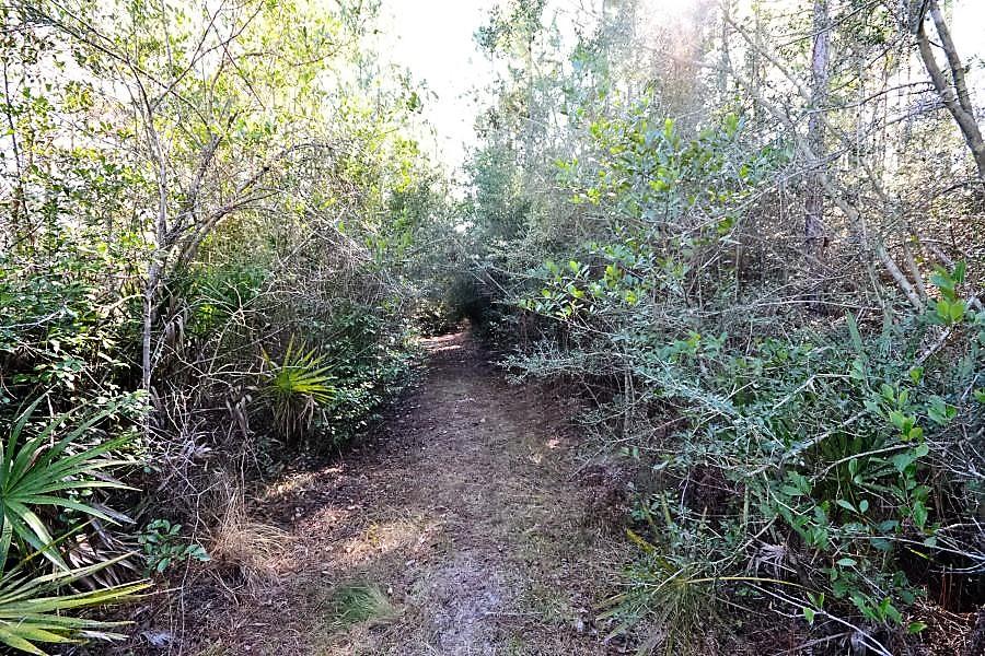 Beaver Dam - Land