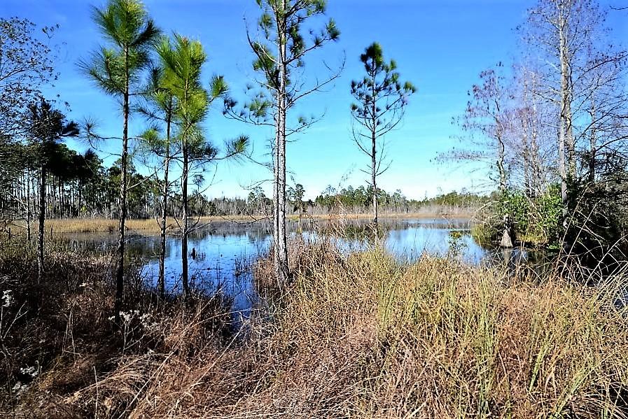 Beaver Dam - Land