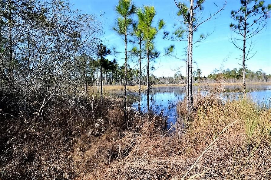 Beaver Dam - Land