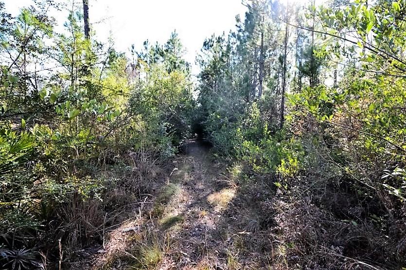 Beaver Dam - Land