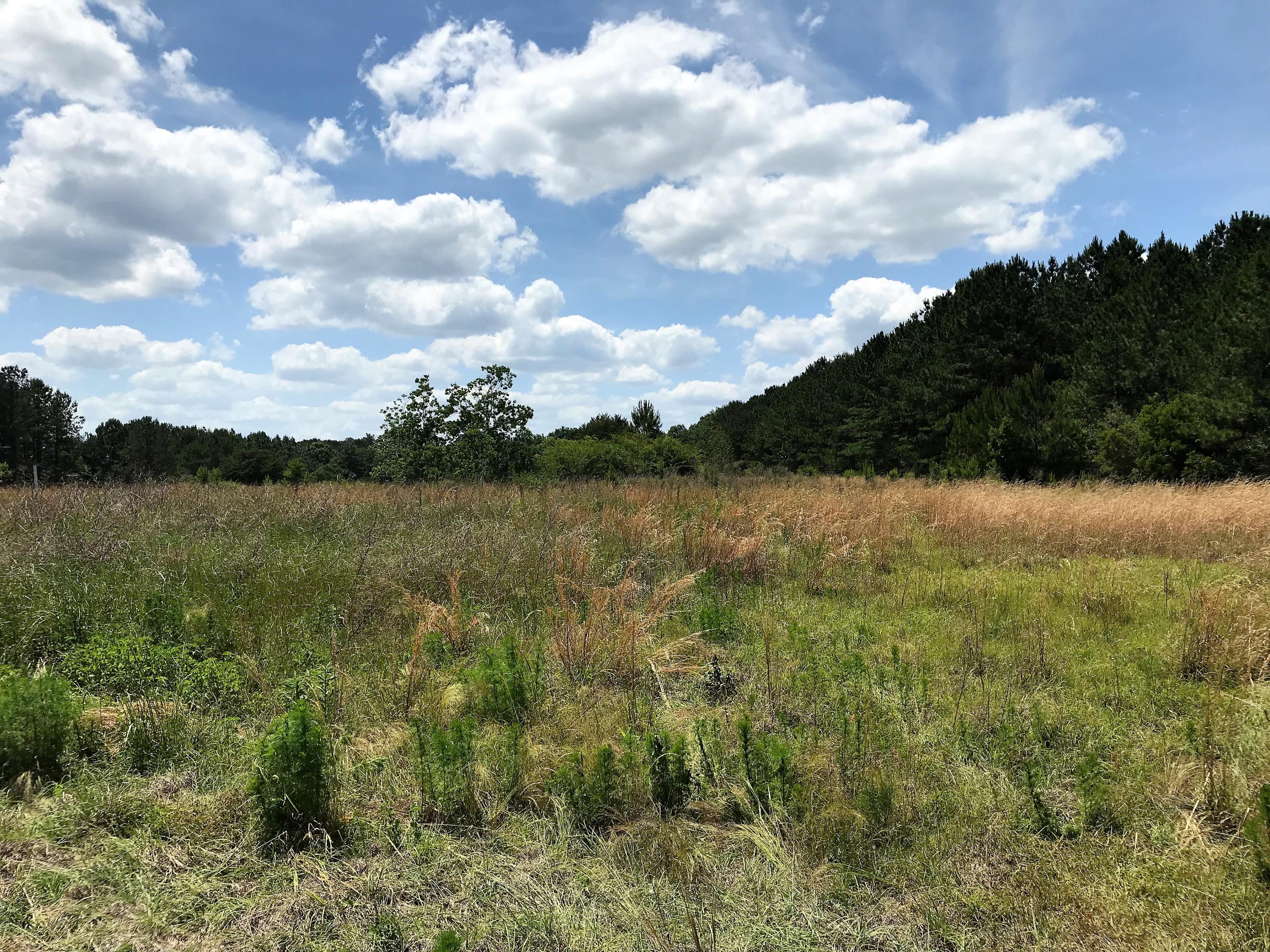 LADON FARMS UNREC - Land