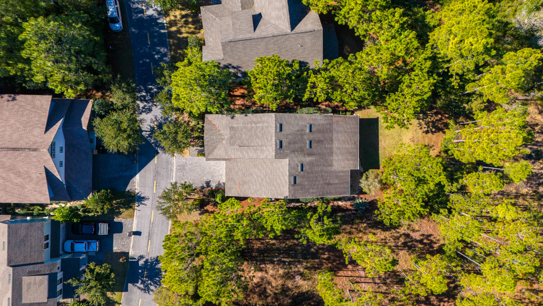 WILD HERON - Residential