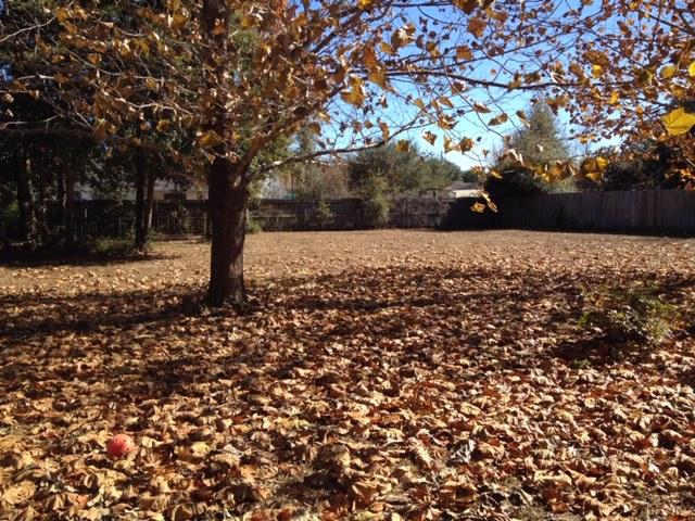 SHOAL WOOD ESTATES 1ST PH 2 - Residential Lease