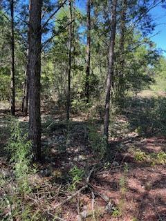 Listing is for 2 Parcel ID's (see Legal Description above) Total lot size is 100' x 100'  (.24 acre).  Property is level and cleared. Located just off paved road at corner of Woodland Blvd and W. Buckeye Street. Not far from I-10 exit. A well and septic tank are needed. Great place to build your forever home or put the trailer of your choice. SIGN ON PROPERTY.