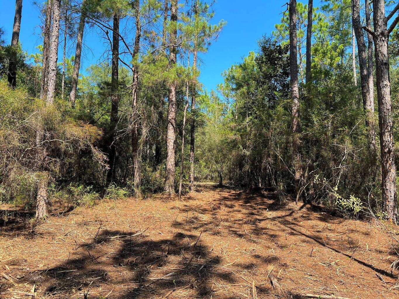 NEW SUBDIVISION - COUNTRY RIDGE ESTATES - Land