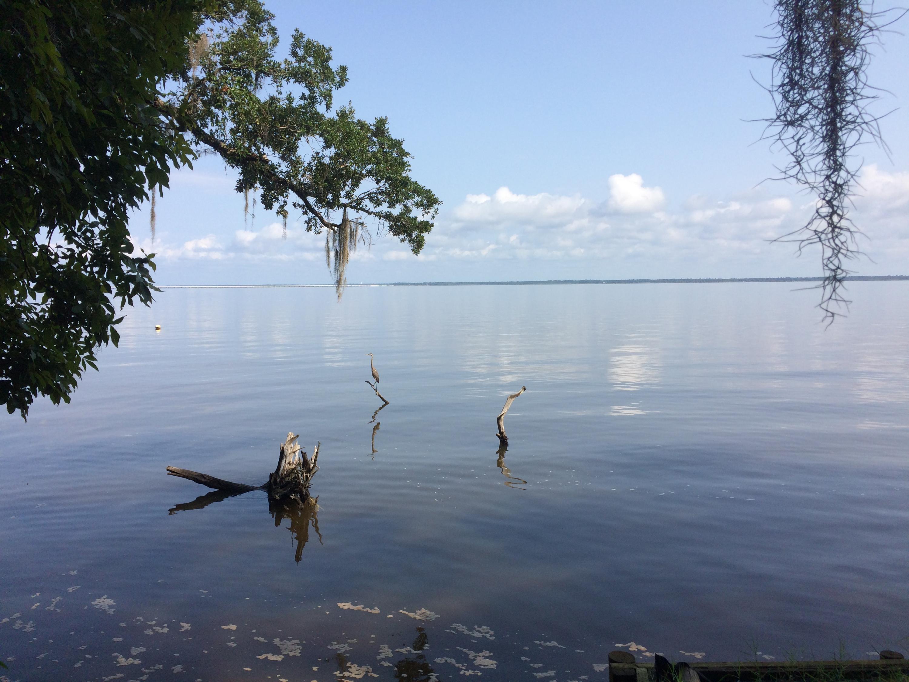 Magnolia Beach - Land