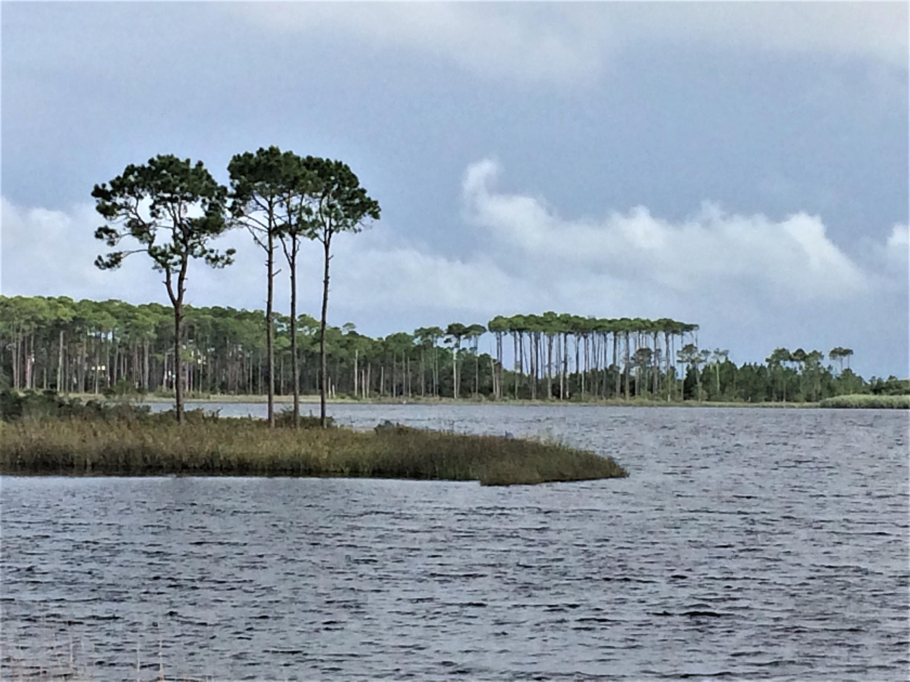 Magnolia Beach - Land