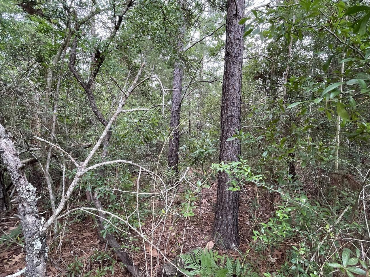 OAKWOOD HILLS UNIT 3 - Land