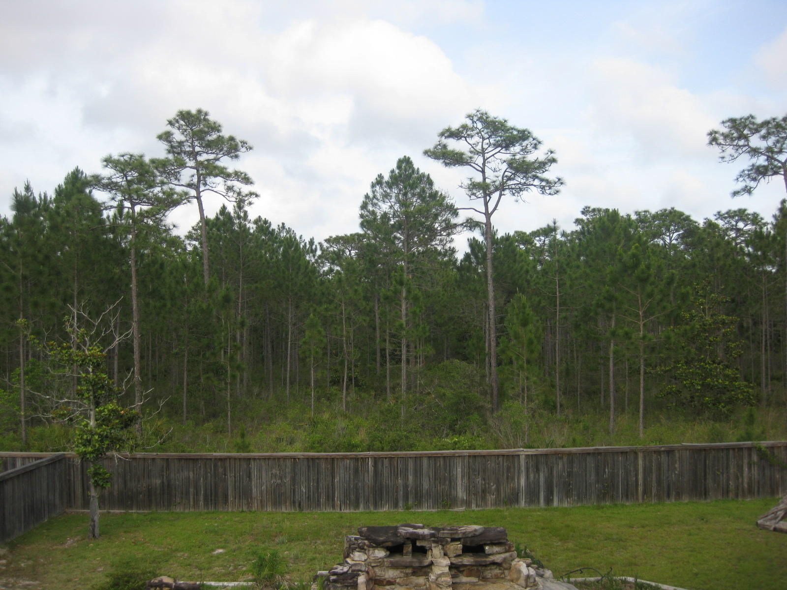 Royal Palms - Residential