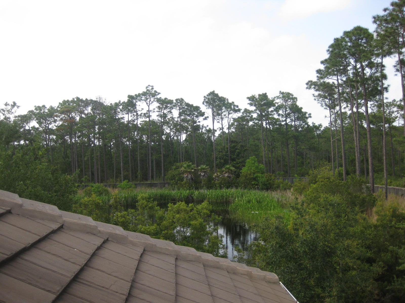 Royal Palms - Residential