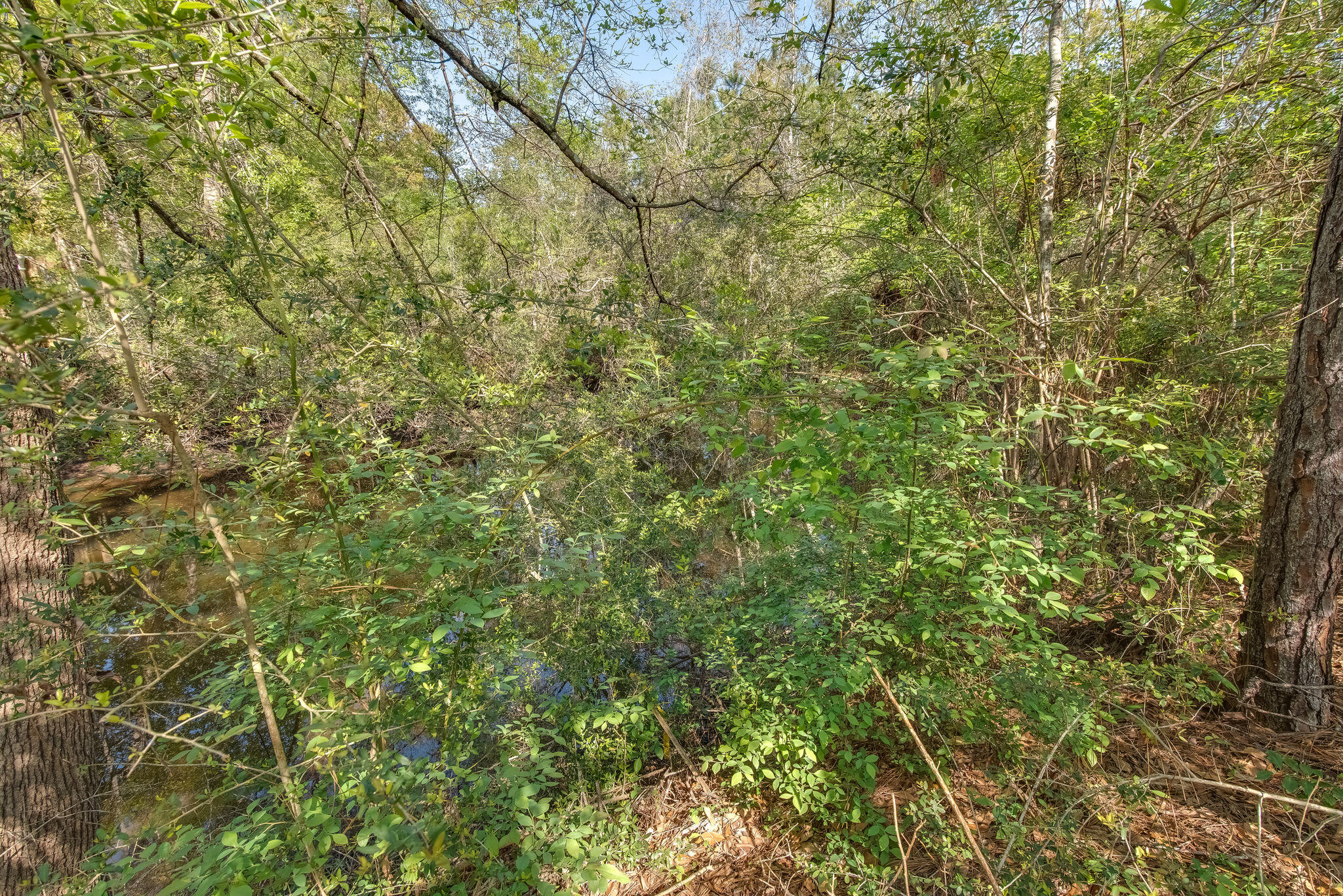 TROUT BAYOU 1ST ADDN - Land
