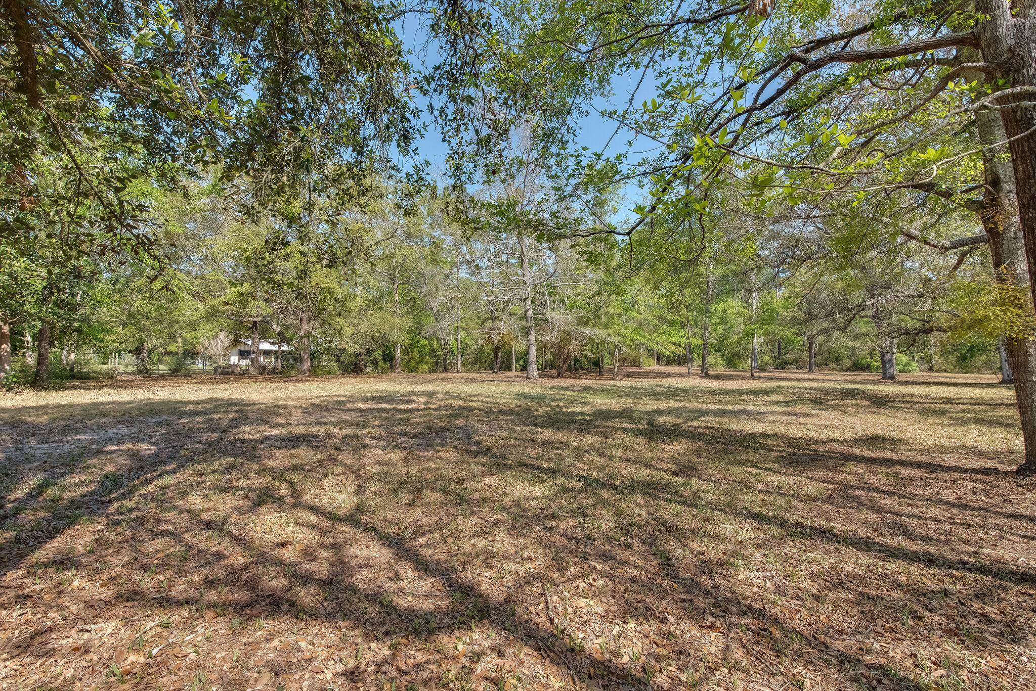 TROUT BAYOU 1ST ADDN - Land