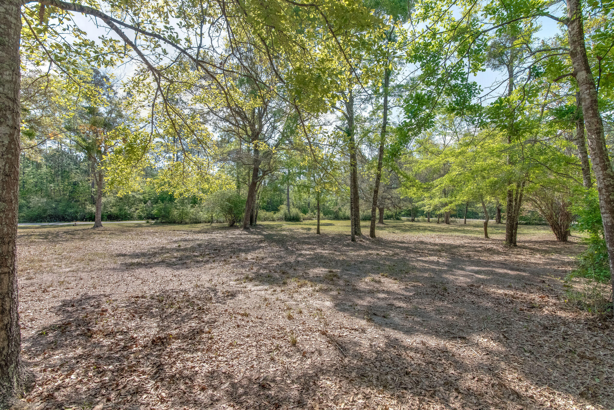 TROUT BAYOU 1ST ADDN - Land
