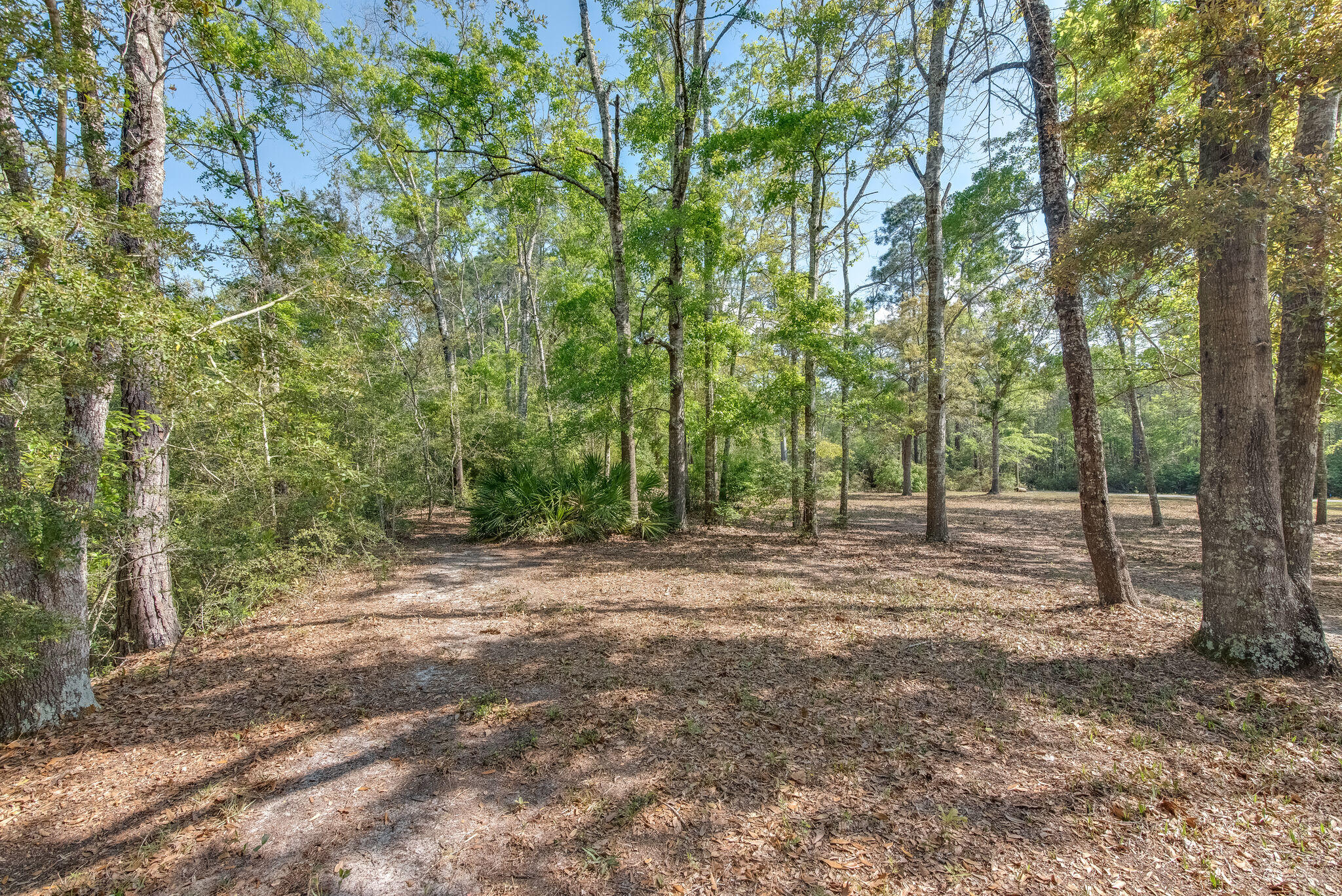 TROUT BAYOU 1ST ADDN - Land