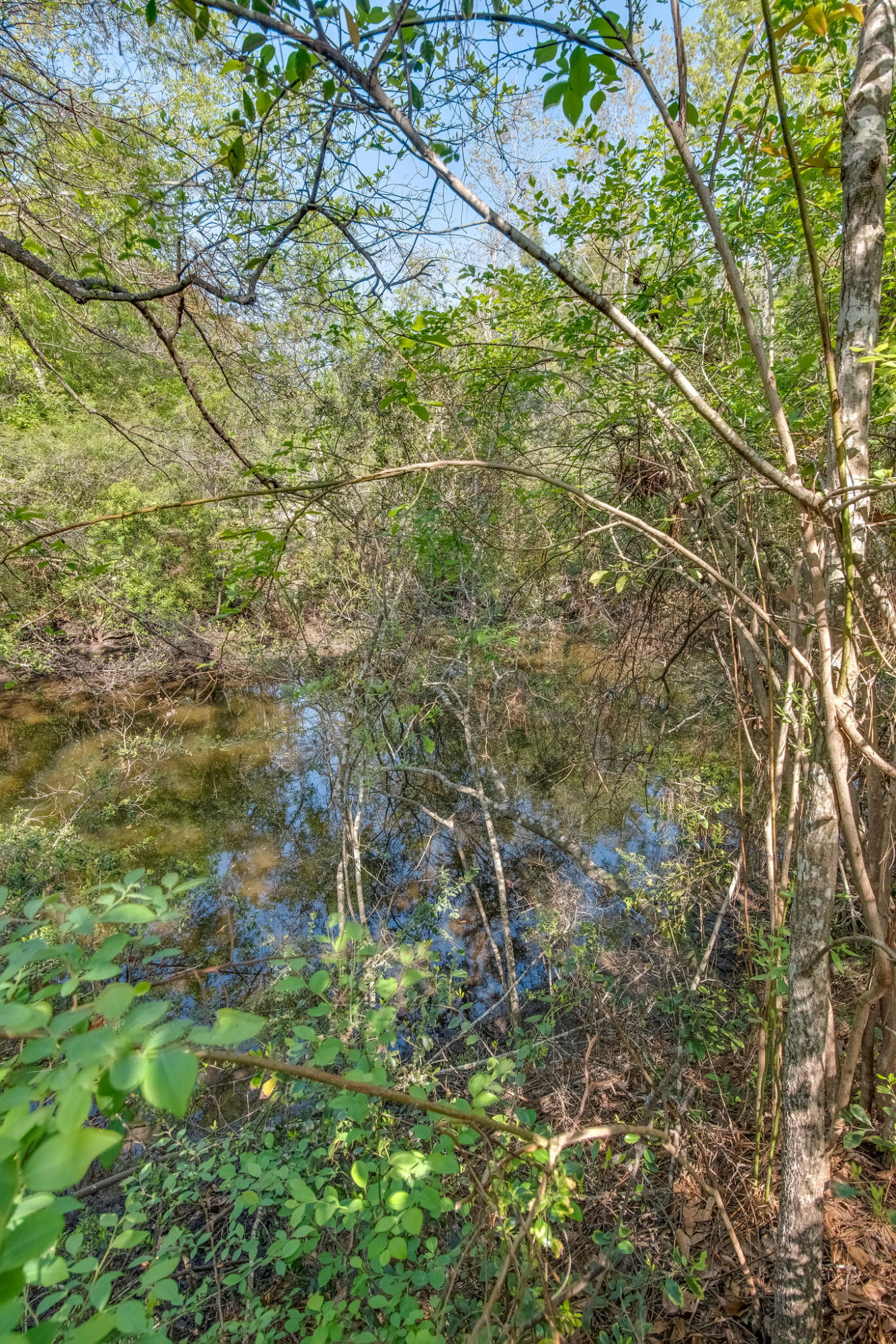 TROUT BAYOU 1ST ADDN - Land
