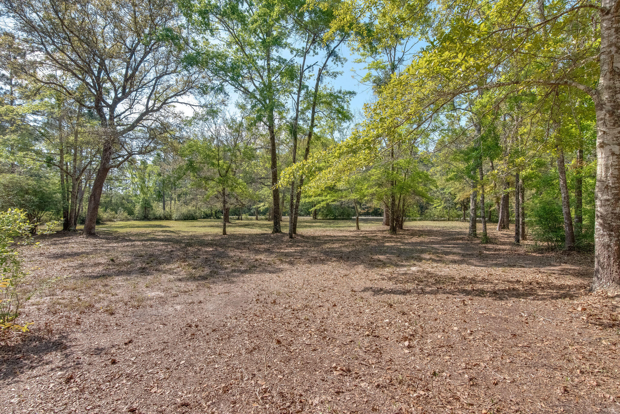 TROUT BAYOU 1ST ADDN - Land