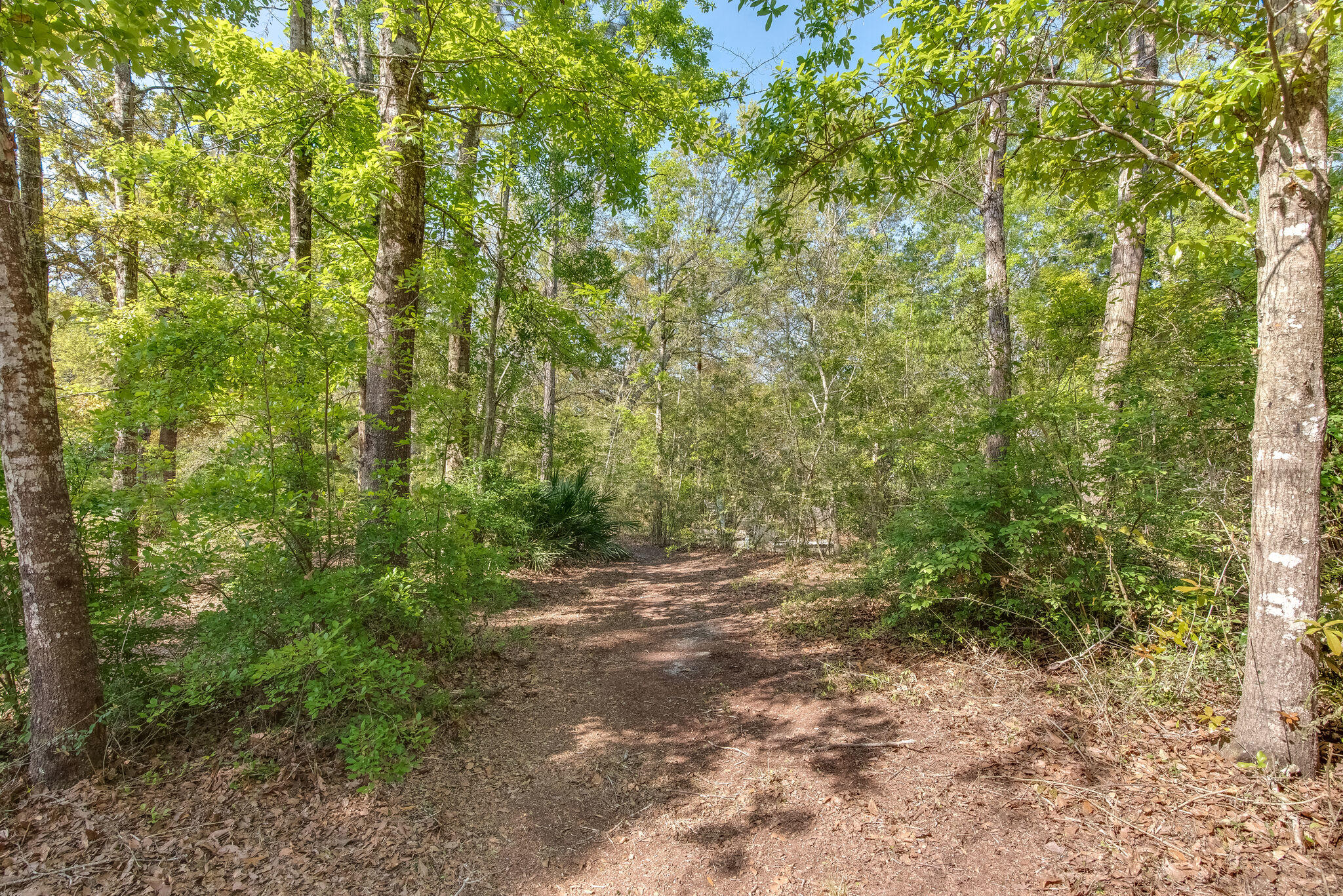 TROUT BAYOU 1ST ADDN - Land