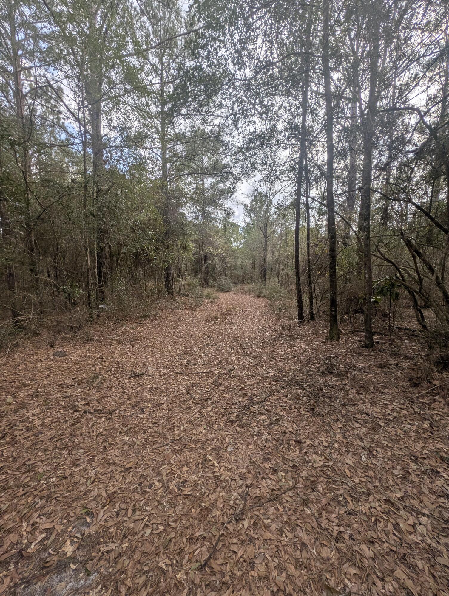 SHOAL RIVER PLANTATION UNREC S/D - Land