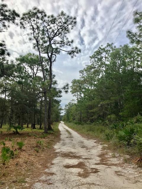 TRACT has just been bush-hogged for easy inspection & walking all over the entire 5 acres. Look for the old ''Cat's Paw'' trees from the days of turpentine farming (100 year growth). Parcel is 'High & Dry'. Great 'Family Estate' site - horses ARE allowed! OR Developers - up to 10 units on this site with 1/2 acre Conservation Residential Estate Lots. Tract may be split into 2 - 2.5 acre parcels without any need for D.O. or platting. Deeded Lake (Lake Powell less than 1000') & multiple Gulf of Mexico beach accesses in this neighborhood - by Government Patent.

Minutes to all the activity of Scenic 30A, restaurants, shops and Public Beach Access at Inlet Beach. 

Co-Listing Agent is the Seller and a Licensed Florida Real Estate Broker.