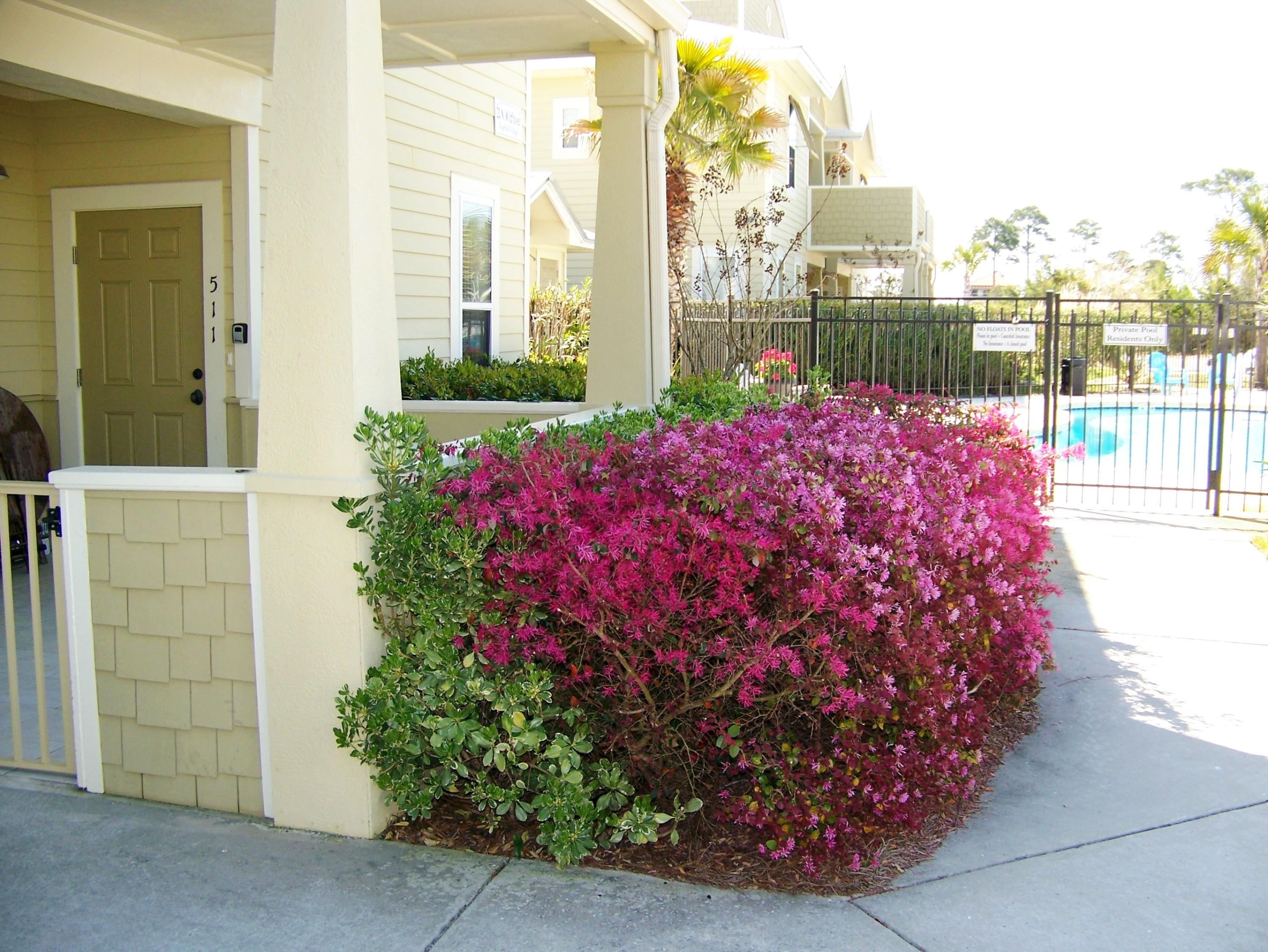 TOPSAIL VILLAGE - Residential Lease