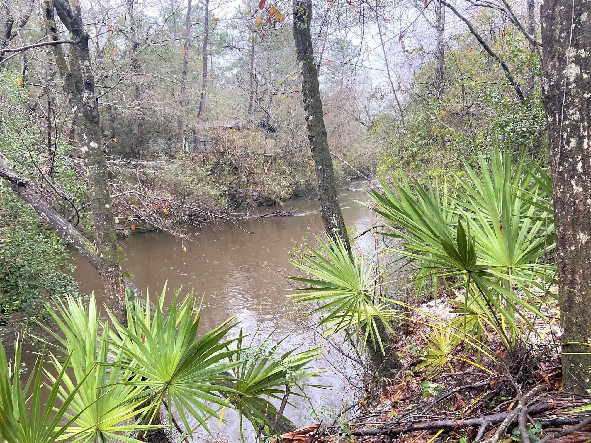 SHOAL RIVER S/D - Land