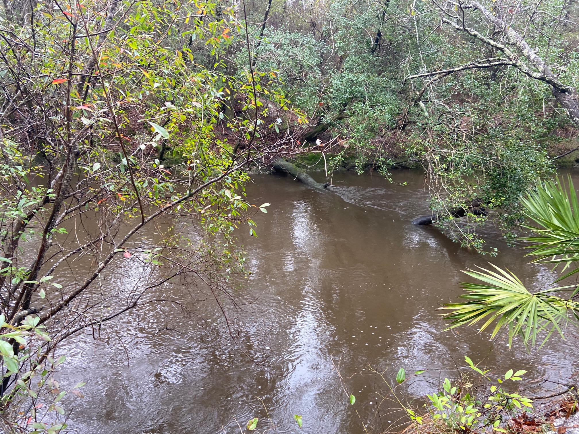 This unique river property is located immediately past Shoal River bridge, with apx. 1/3 ac on the river and apx. 1/2 ac on the other side of Hinote Rd. There we previously mobile homes on both sides but river side was hauled off and the other side, mobile home is given no value. Previously electric, well and septic on both sides but seller has no idea of condition and makes no warranty regarding utilities.