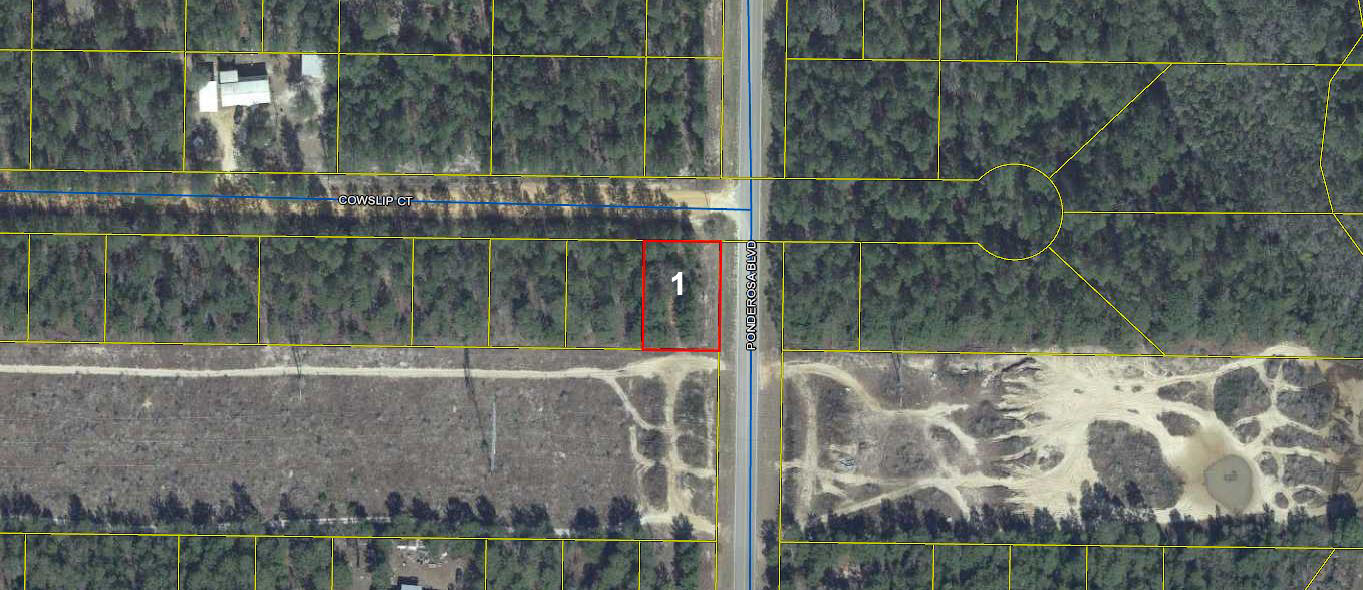 Wooded lot in the fast growing Mossy Head area, approximately 10 minutes from historic downtown DeFuniak Springs, voted the Best Small Town in Florida by MainStreet USA.
